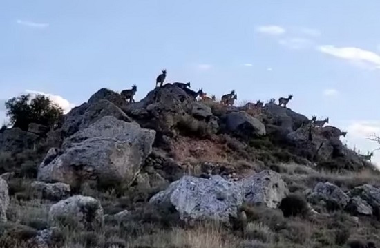La vida se abre camino