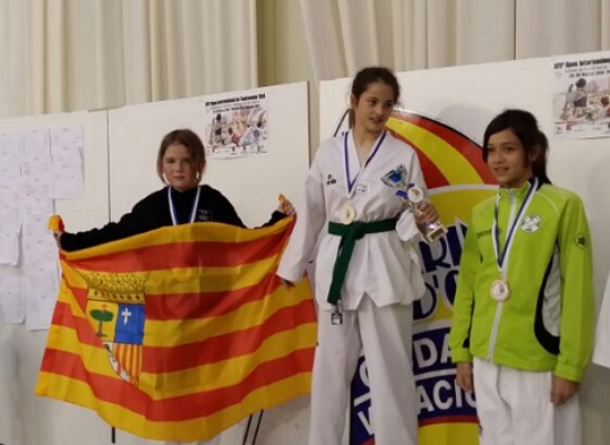 TEM participa en el XIV Open Internacional de Taekwondo