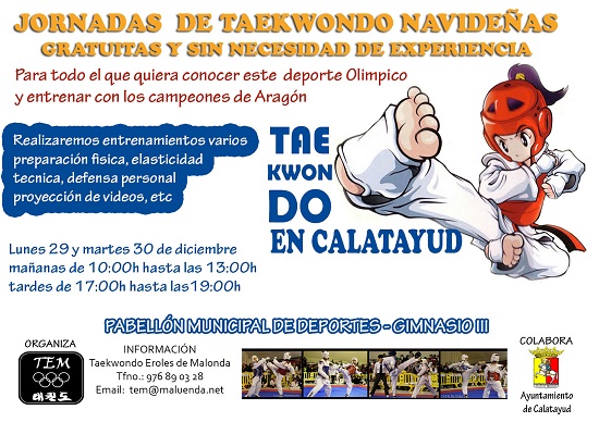 Jornadas Navideñas de Taekwondo 2014