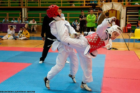 TEM organiza el II Torneo Provincial de Taekwondo TEM organiza el II Torneo Provincial de Taekwondo